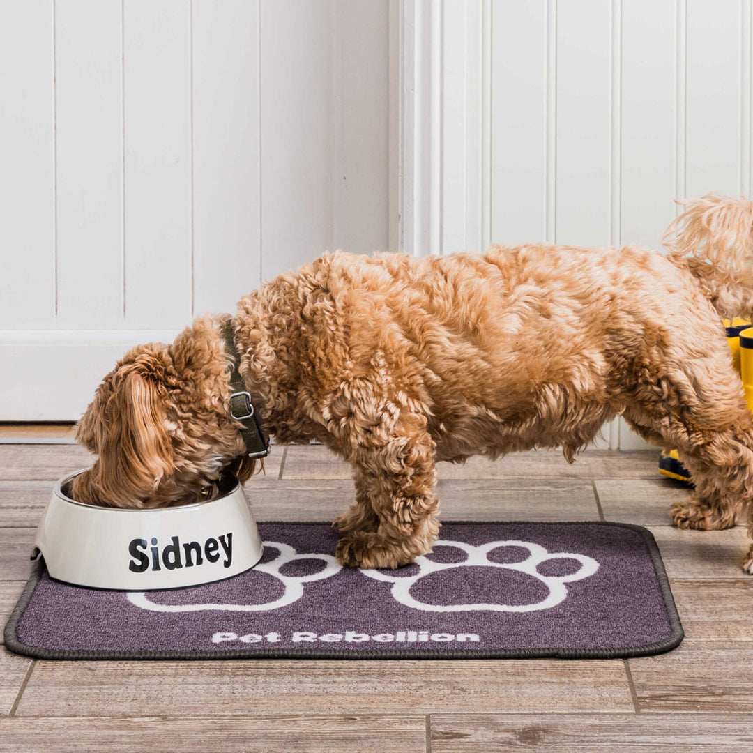 Pet Rebellion Dinner Mate Dog Food Mat