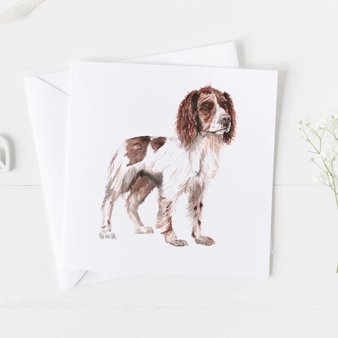 Meg Hawkins Card - Springer