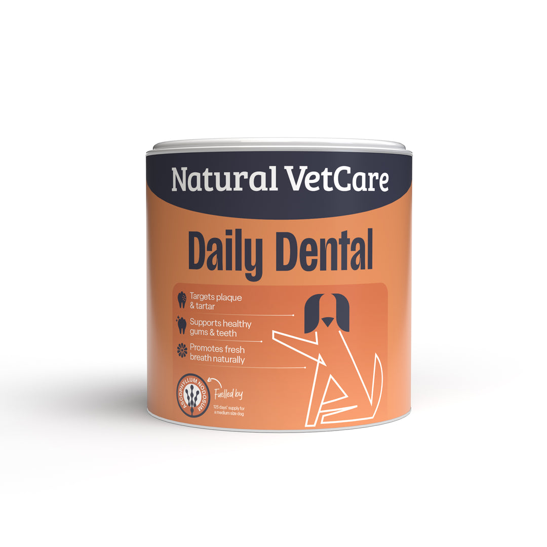NAF Daily Dental Dog Supplement