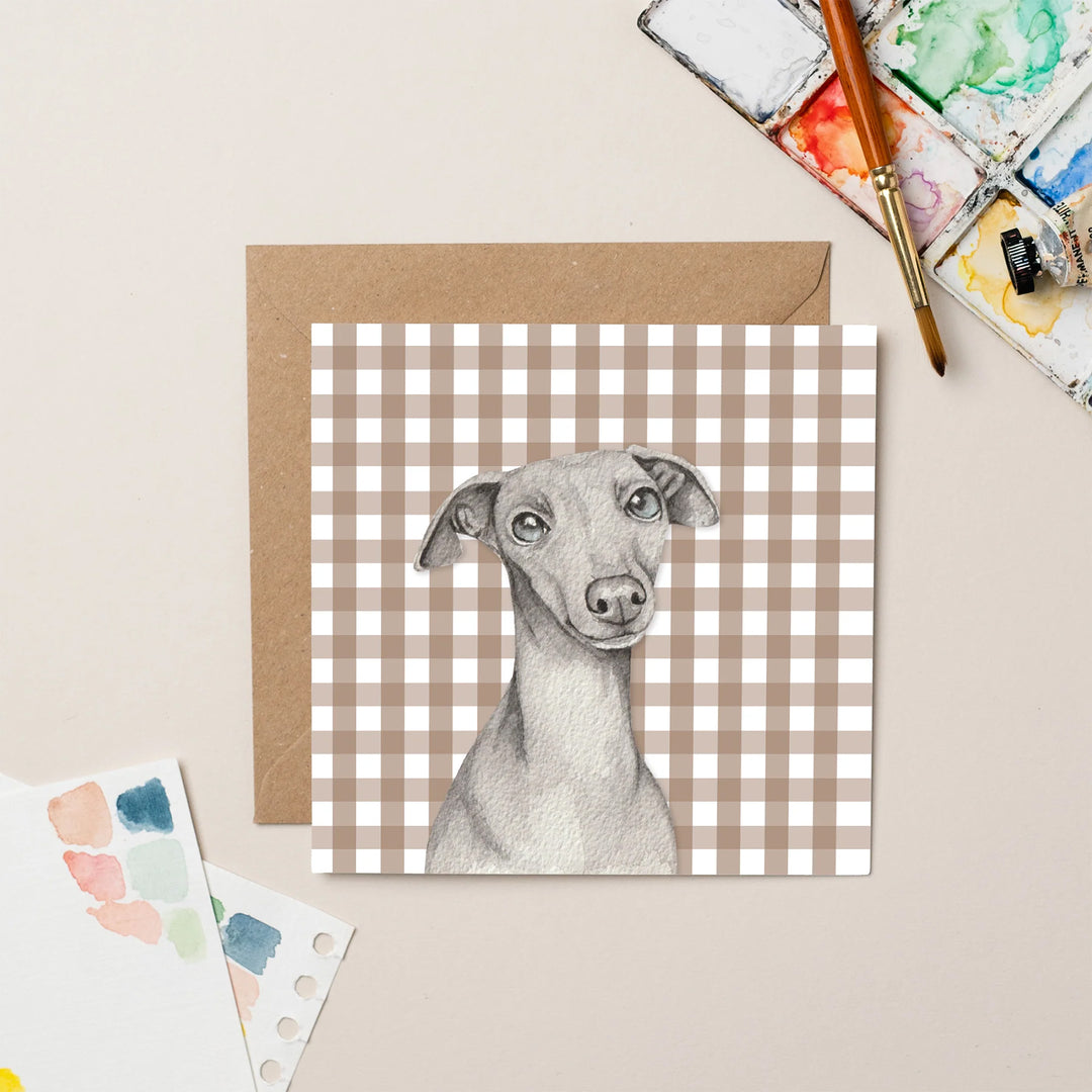 Lil Wabbit Whippet - Daisy