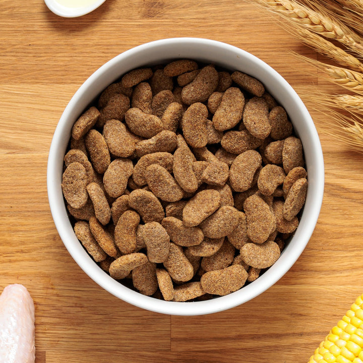 Dr John Silver Adult Dog Food with Chicken & Vegetables