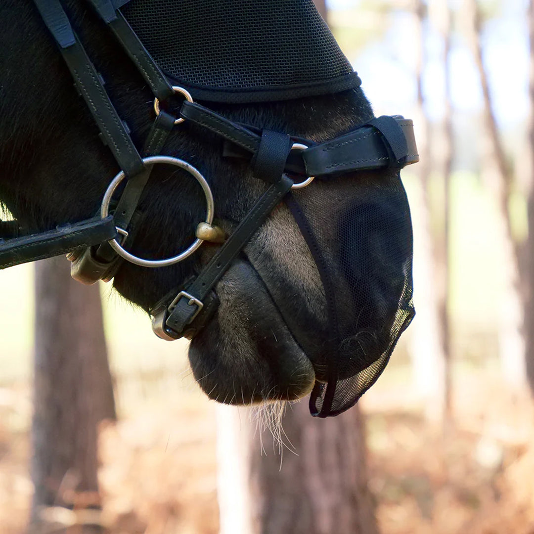 Equilibrium Two Pack Net Relief Anatomic Muzzle Net