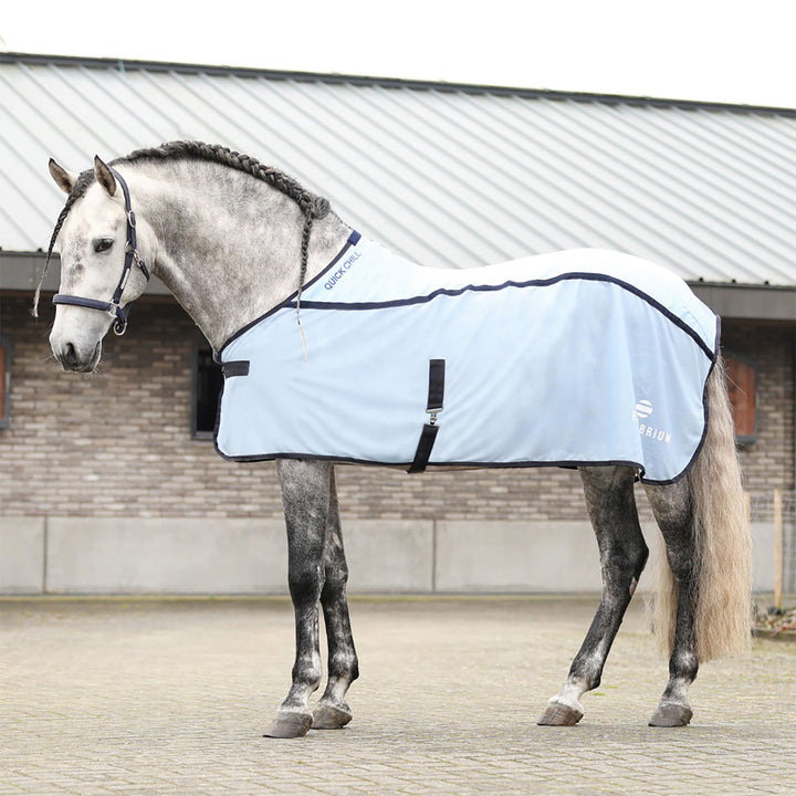 Equilibrium Quick Chill Cool Rug