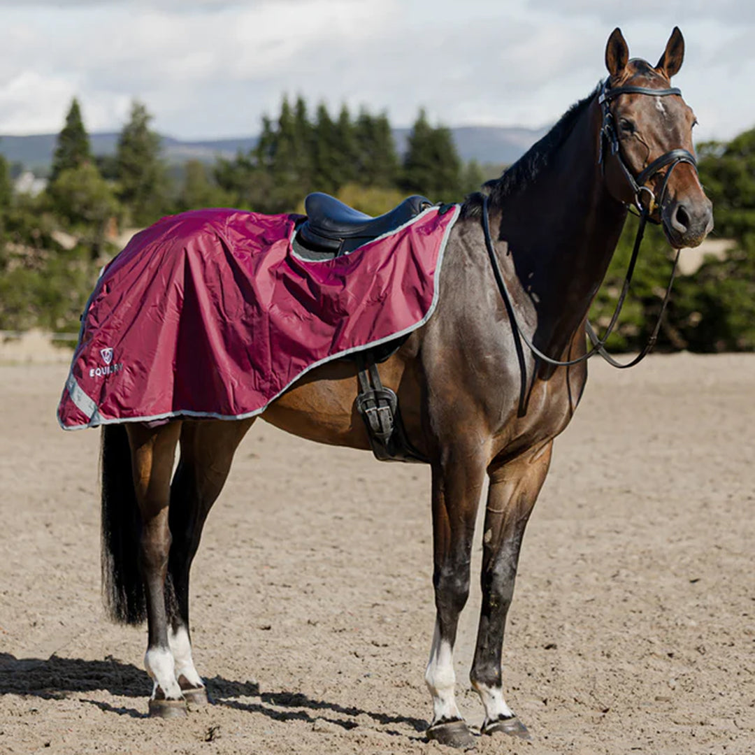 Equidry Waterproof Fleece Lined Exercise Sheet