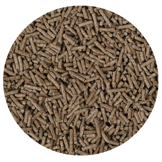Blue Chip Calming Balancer