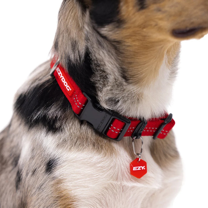 Ezydog Essential Adjustable Collar