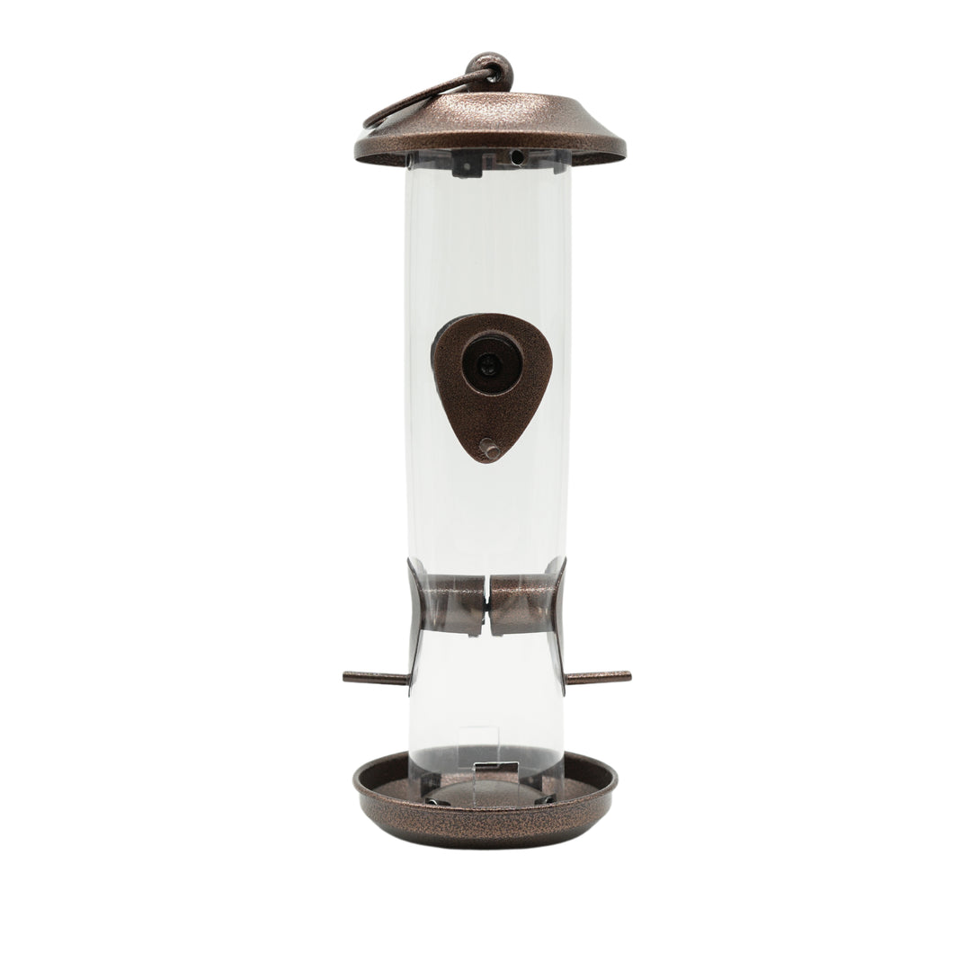 Johnston & Jeff New Orleans Seed Feeder