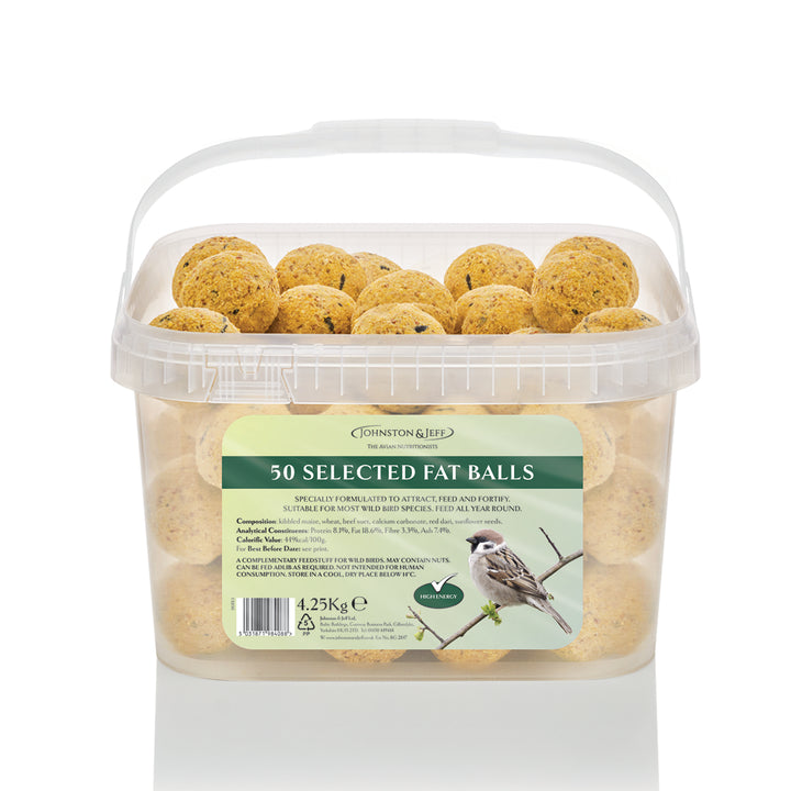 Johnston & Jeff Fat Balls Without Nets Tub