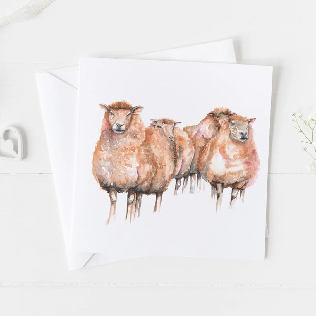 Meg Hawkins Card - Three Sheep