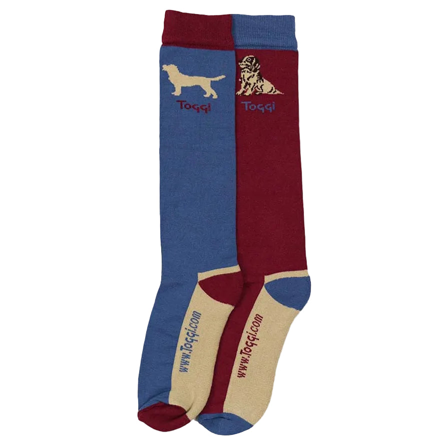 Color-blocked sock with dog illustrations and 'Toggi' branding on a white background