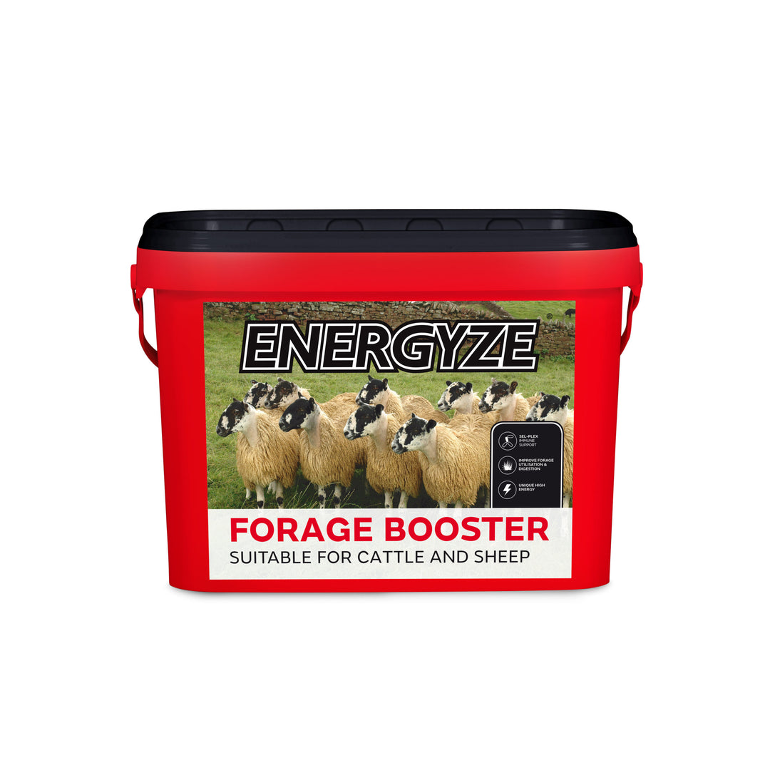 Harbro Energyze Forage Booster