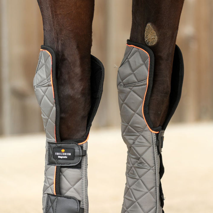 Equilibrium Fore & Knee Magnetic Chaps