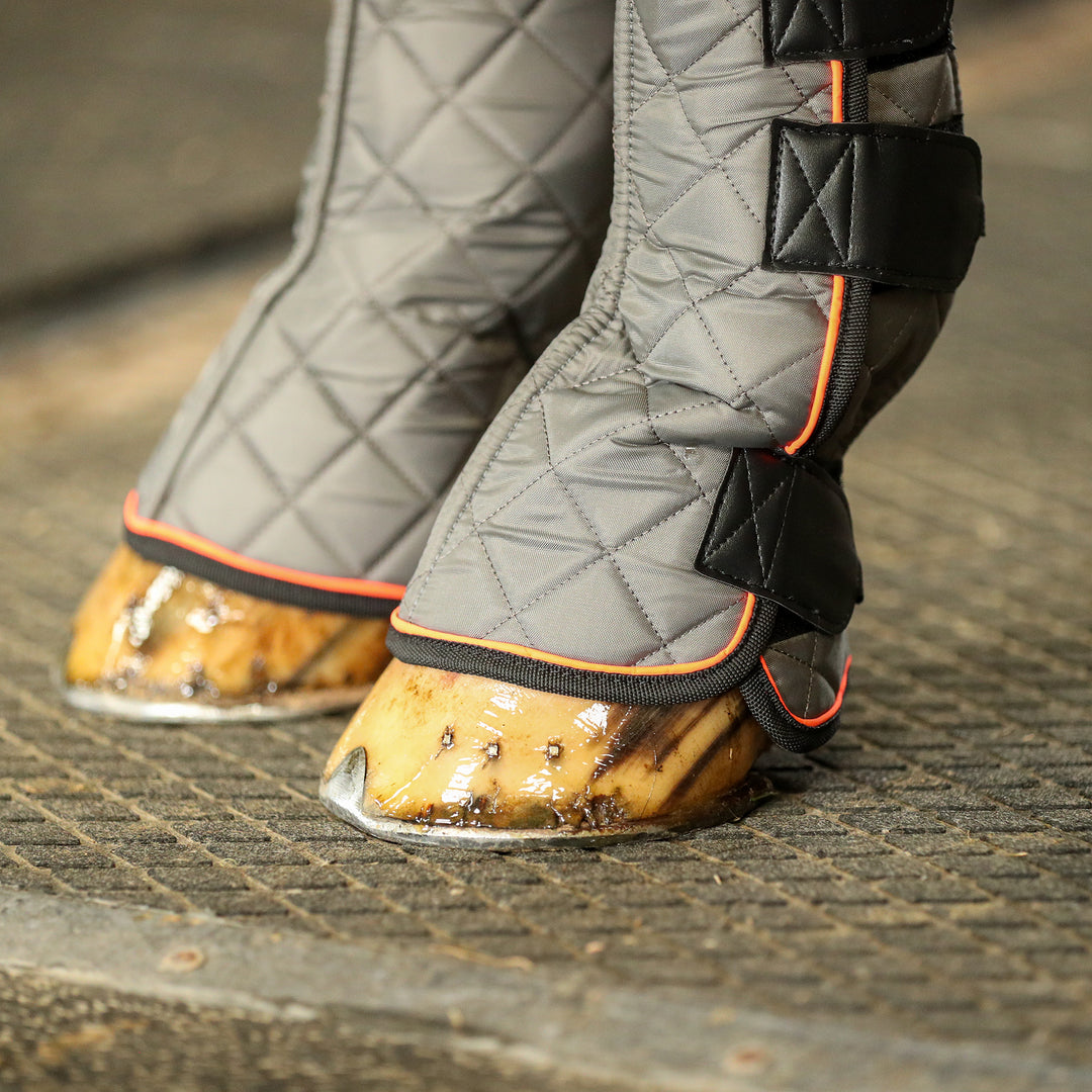 Equilibrium Fore & Knee Magnetic Chaps