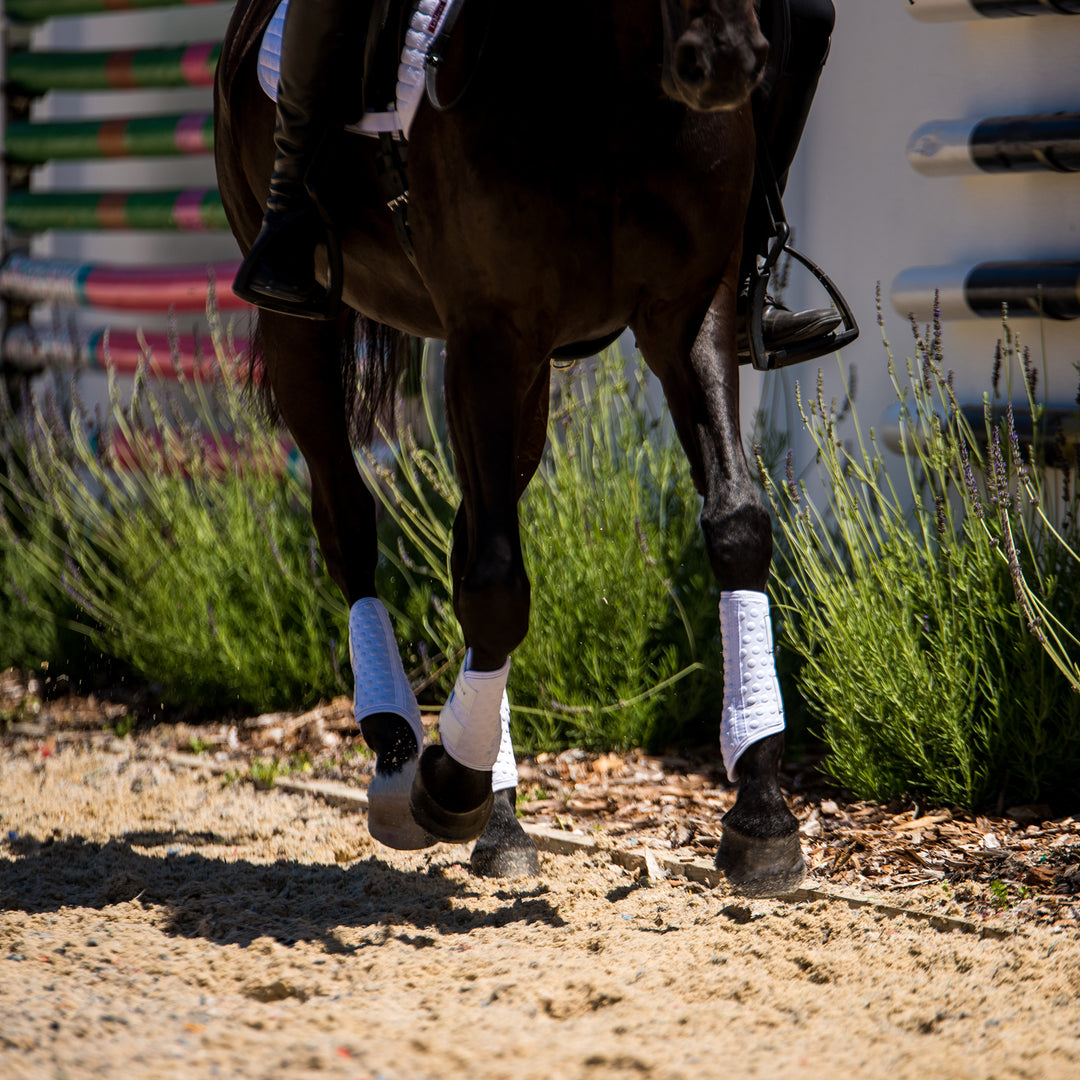 Equilibrium Stretch & Flex Flatwork Wraps
