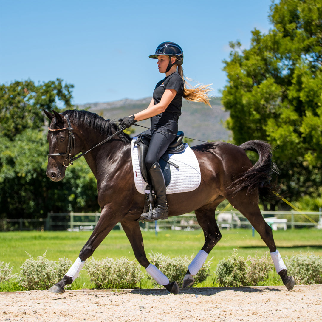 Equilibrium Stretch & Flex Flatwork Wraps