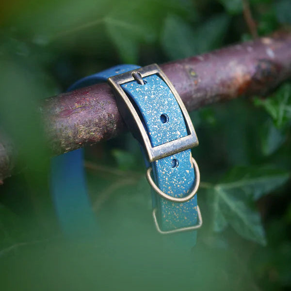 Woof & Snout Speckled Star Dog Collar