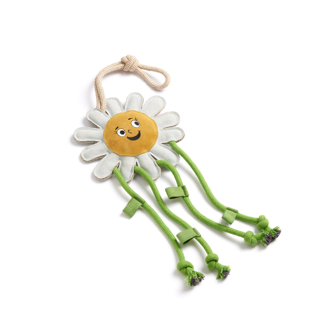 Green & Wilds Crazy Daisy Eco Horse Toy