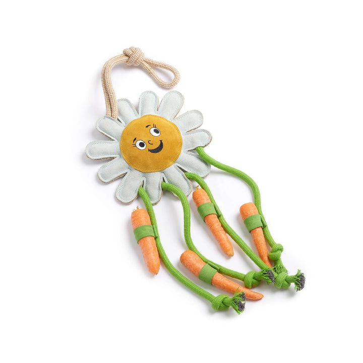 Green & Wilds Crazy Daisy Eco Horse Toy