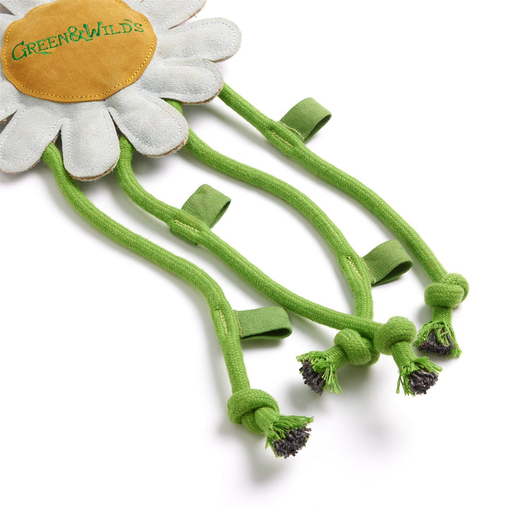 Green & Wilds Crazy Daisy Eco Horse Toy