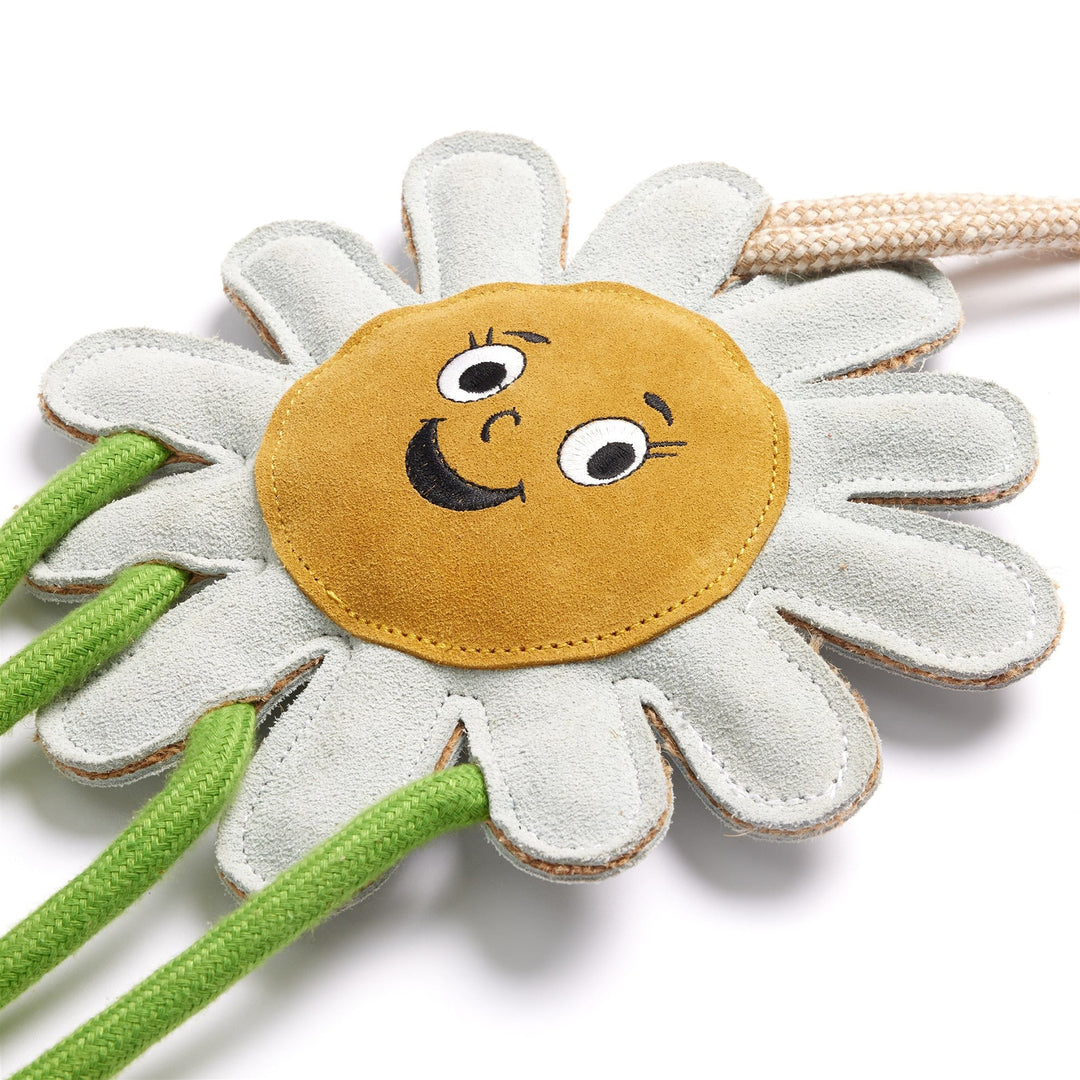 Green & Wilds Crazy Daisy Eco Horse Toy