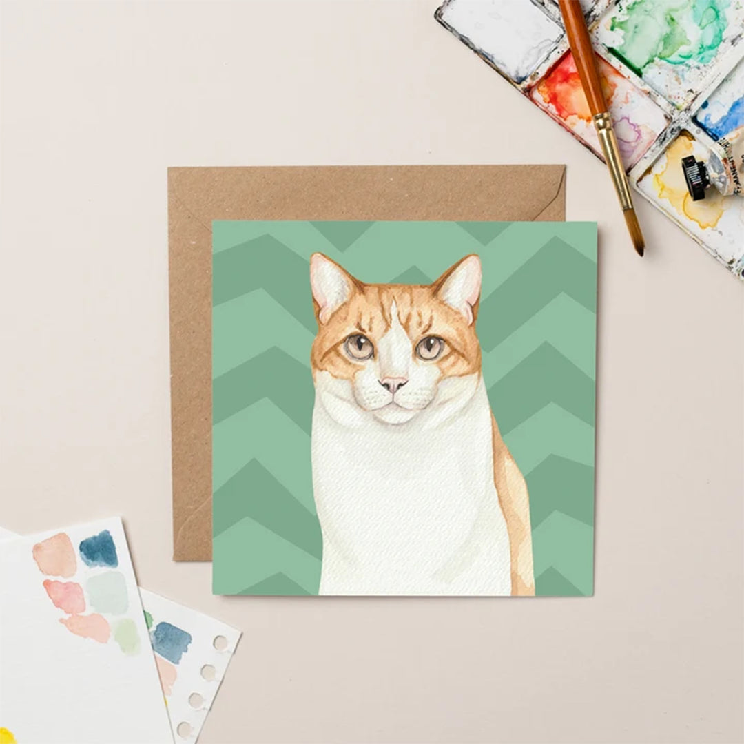 Lil Wabbit White & Ginger Cat