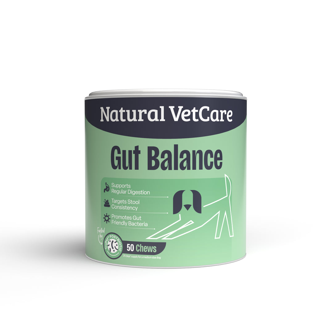 NAF Gut Balance Dog Supplement