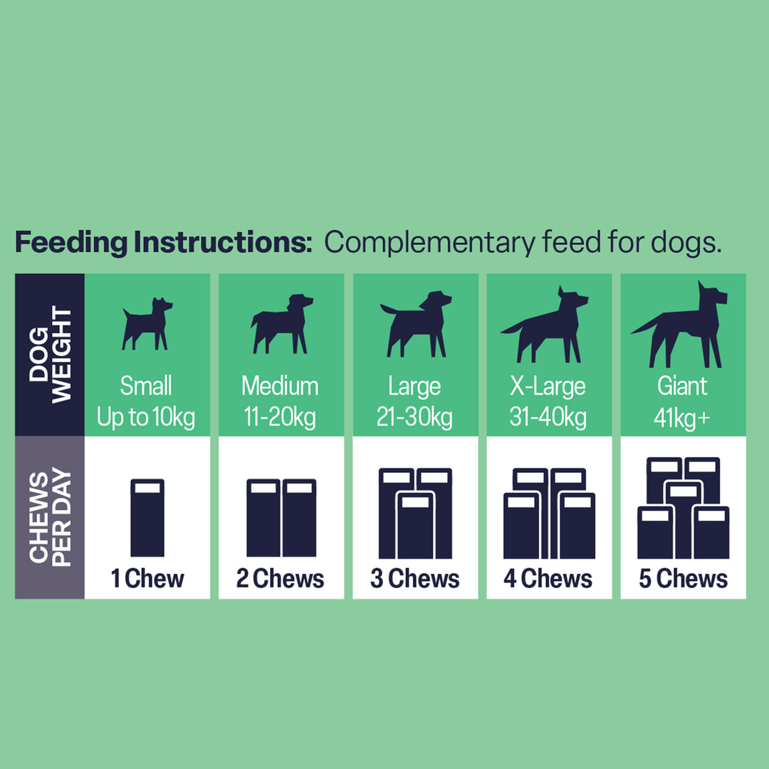 NAF Gut Balance Dog Supplement