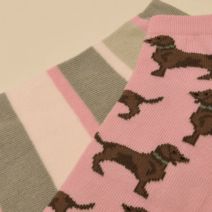 Joules Ladies Rilla 2 Pack Socks