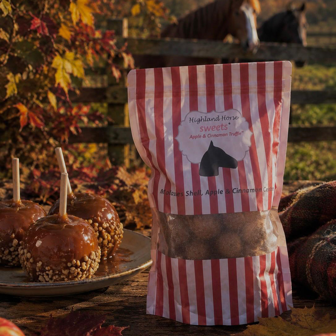 Highland Horse Sweets Apple & Cinnamon Truffle