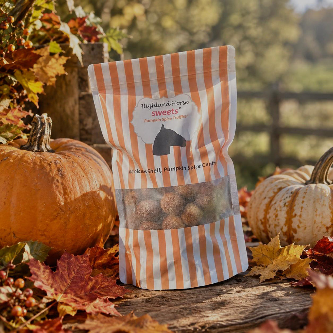 Highland Horse Sweets Pumpkin Spice Truffle