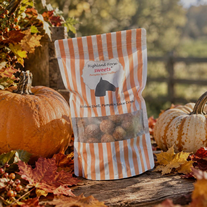 Highland Horse Sweets Pumpkin Spice Truffle