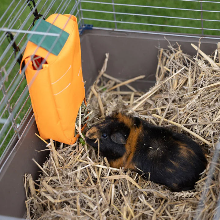 Go Forage Carrot Hay Bag Feeder