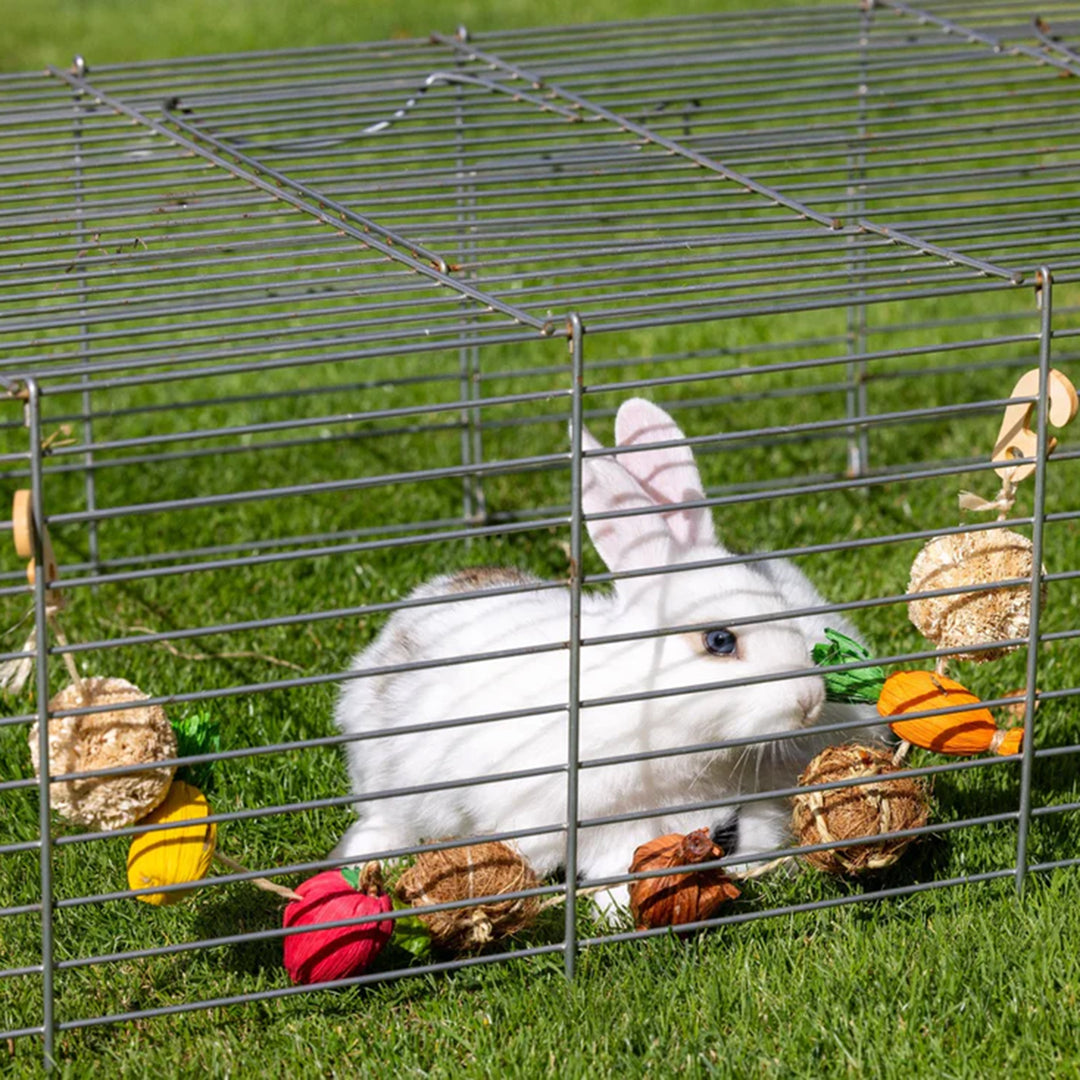 Go Forage Veggie Garland Toy