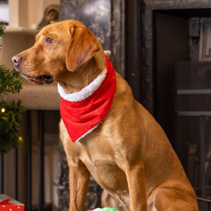 House of Paws Christmas Santa Dog Bandana