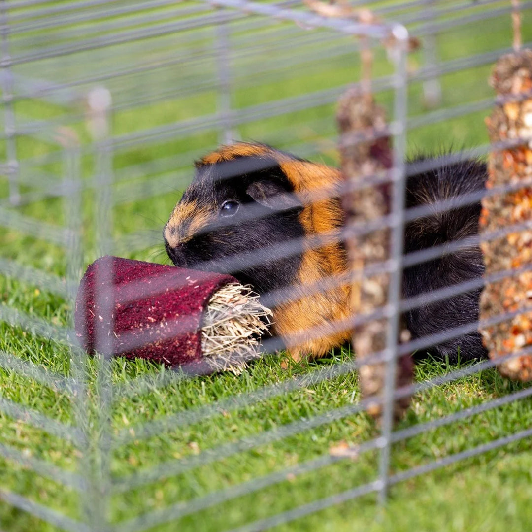 House of Paws Beetroot Treat Tunnel