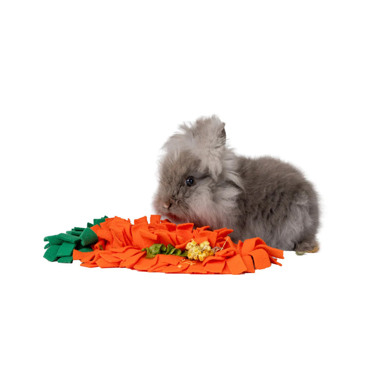 Go Forage Carrot Snuffle Patch