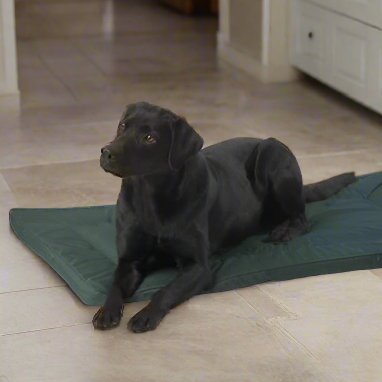 House Of Paws Water Resistant Crate Mat