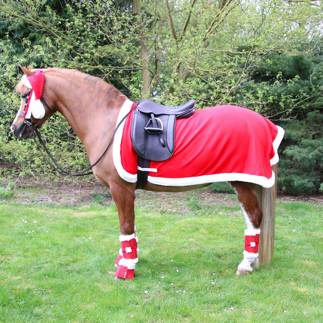 Hy Equestrian Christmas Santa Exercise Sheet
