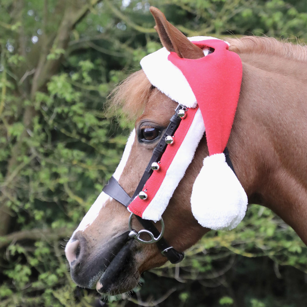 Hy Equestrian Santa Bridle Set