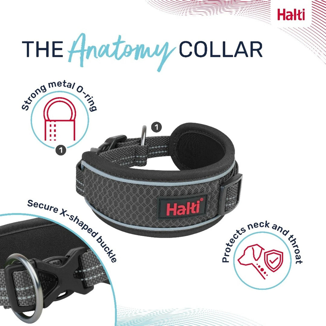 Halti Anatomy Collar