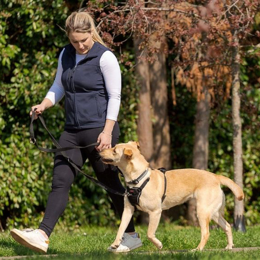 Halti No Pull Harness