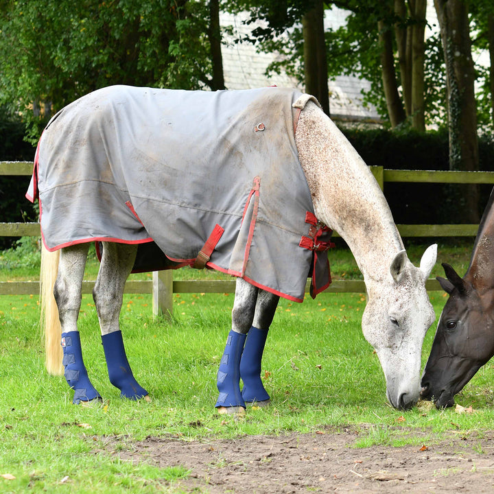 Equilibrium Equi-Chaps Hardy Chaps