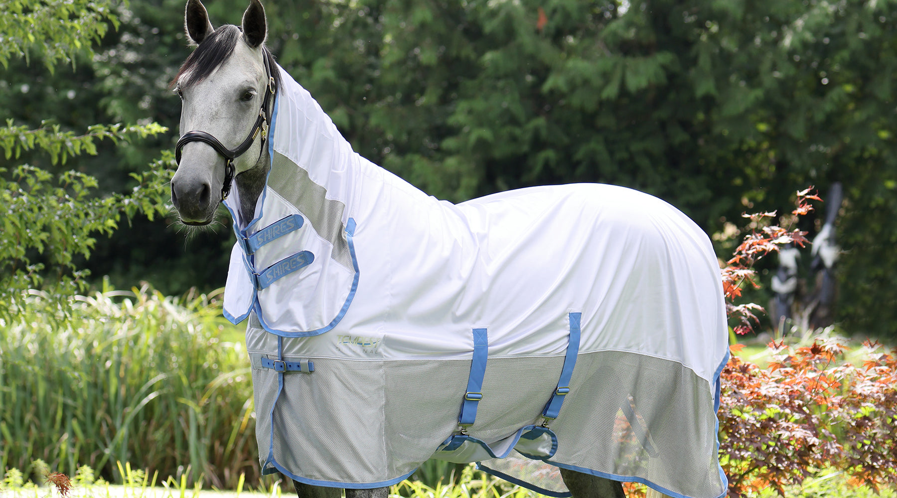 Horse wearing the Shires Fly rug