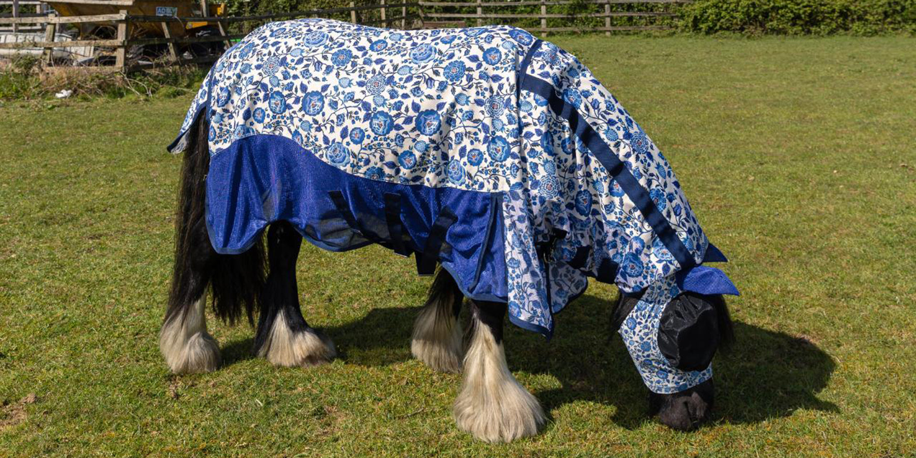 Horse wearing Cath Kidston fly rug and mask