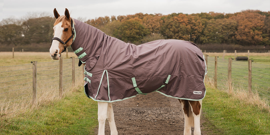 Millbry Hill Combo Turnout Rug