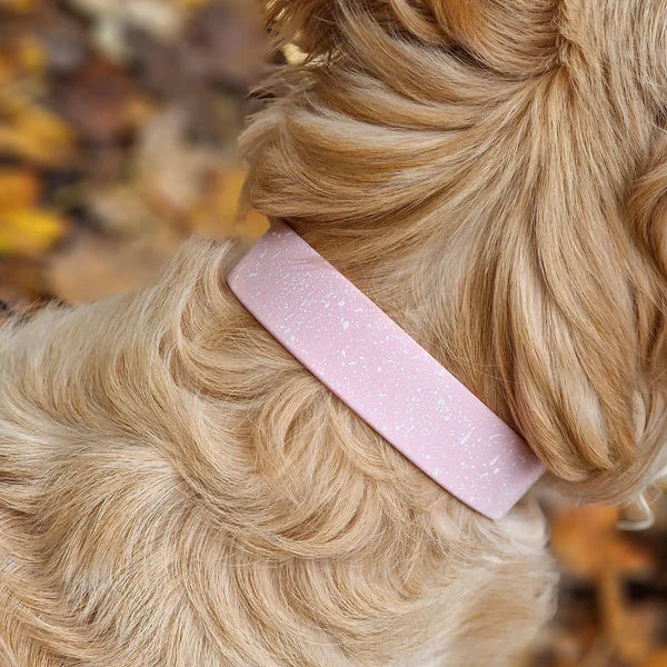 Woof & Snout Speckled Star Dog Collar
