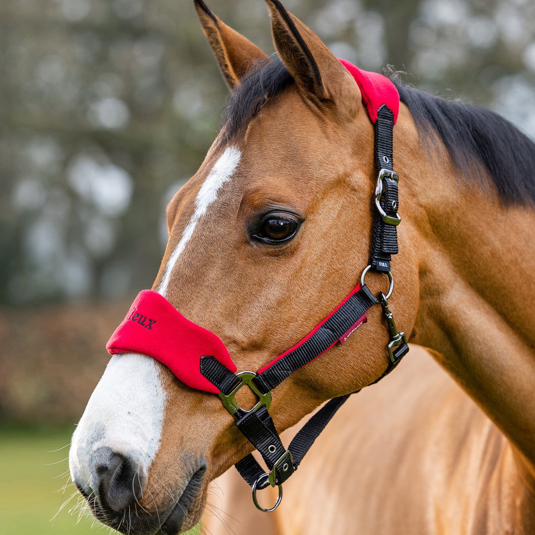 LeMieux Vogue Fleece Headcollar with Leadrope