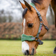 Brown horse with a white blaze and braided mane standing in a grassy field.