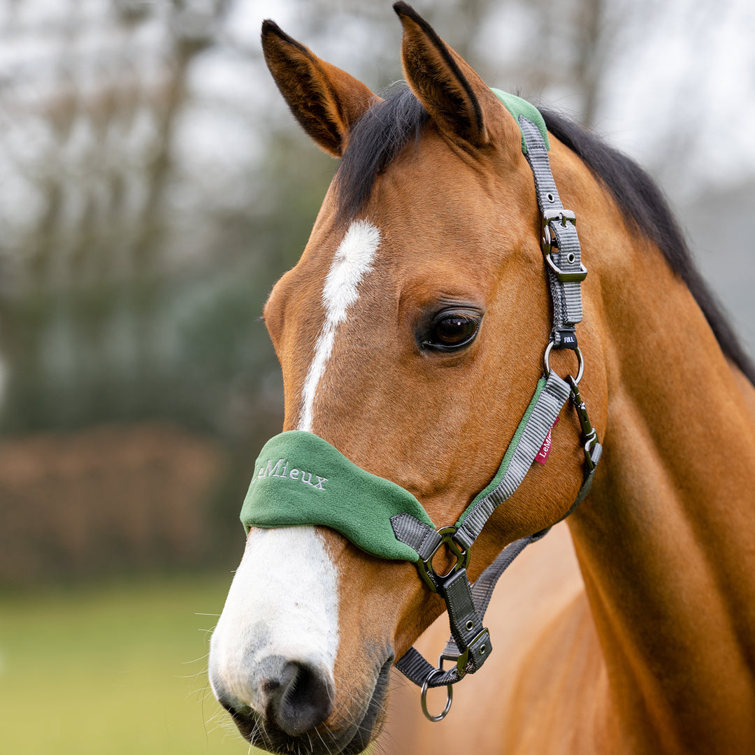 LeMieux Vogue Fleece Headcollar with Leadrope