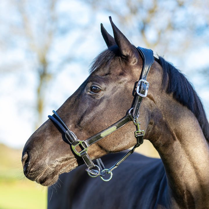LeMieux Rope Control Headcollar